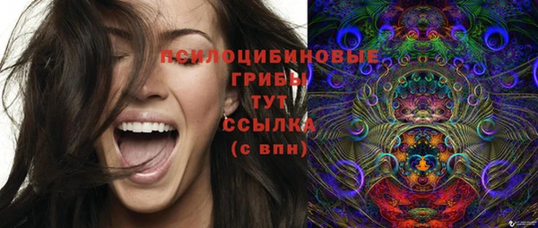 альфа пвп Богородицк