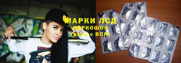 PSILOCYBIN Богданович